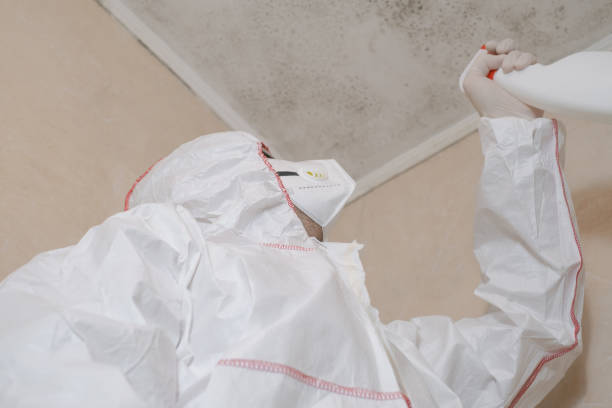 Best Professional Mold Removal  in Chino Valley, AZ